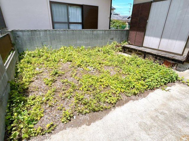 日立市東大沼町1丁目　中古戸建の庭
