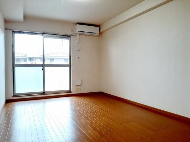 プラシードのその他