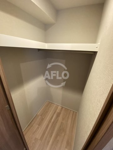ブランズタワー谷町四丁目　中大江小学校区の収納|ブランズタワー谷町四丁目　ウォークインクローゼット