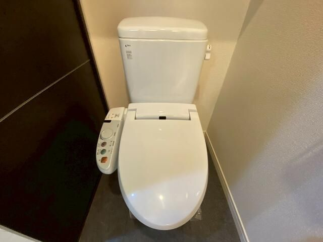 ＬＵＸＵＲＹ　　ＡＰＡＲＴＭＥＮＴ　ＯＫＡＣＨＩＭＡＣＨＩのトイレ