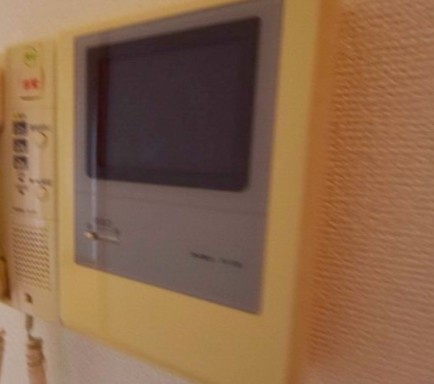 メゾン・ド・モエのセキュリティ|別部屋参考写真
