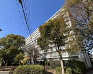 入船西エステート3号棟の画像