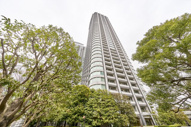 東京ツインパークス　ライトウイングの画像