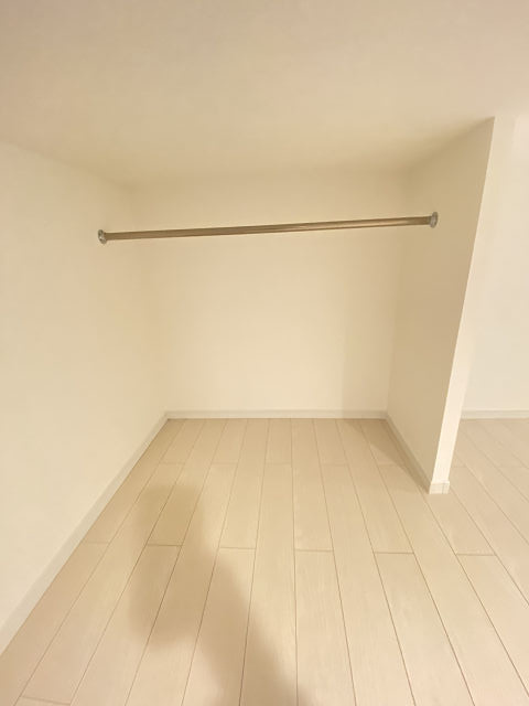 ルシエルのその他