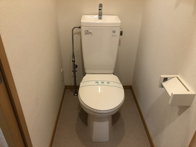 スカイコート神田須田町のトイレ|トイレです