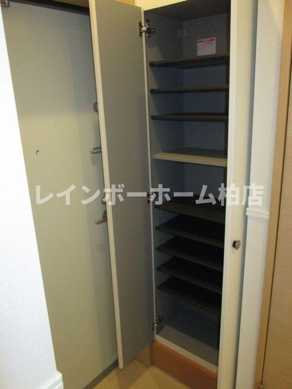 【仲介手数料：50％OFF】対象物件！の玄関|落ち着いた玄関です