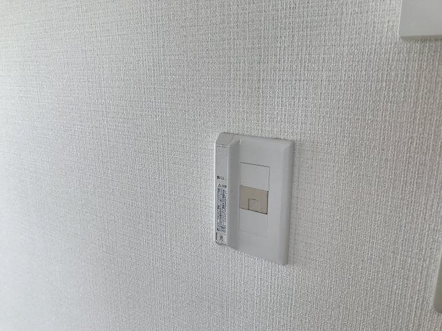 ドエルはーもにーのその他