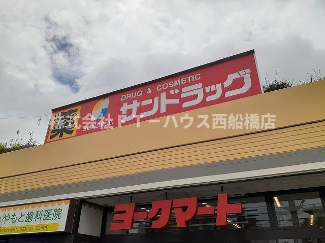 アン・フェリシアのその他|その他
