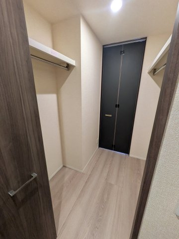 Craspediaの収納