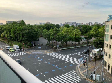 アデニウムコート木場公園の展望