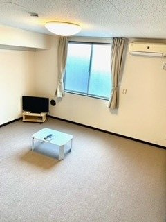 レオネクストブルースカイの居間・リビング|207号室家具・家電無し
