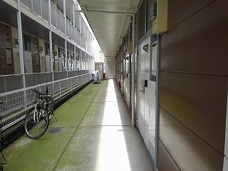 レオパレス華Ⅱの玄関