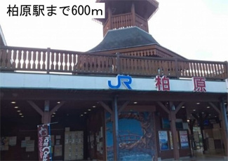【周辺】 | シエル・ケイエム | 柏原駅まで600m