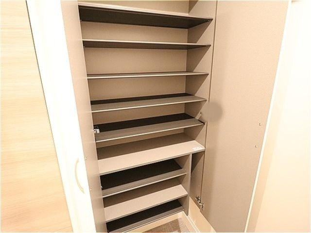 グリーンの玄関|シューズボックスです