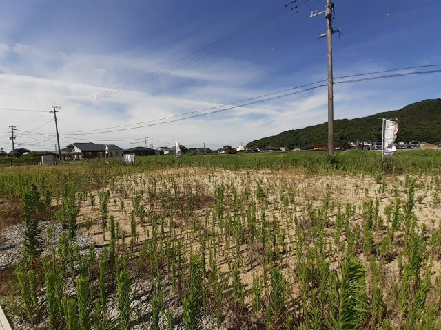 宇土市岩古曽町の売地
