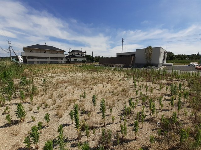 宇土市岩古曽町の売地の外観