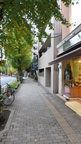 コンフォリア文京白山の周辺
