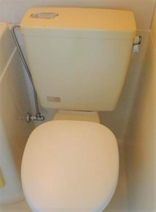 相模原市南区相模大野８丁目の賃貸マンションのトイレ