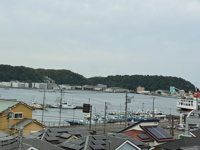 マリンシティコスモ久里浜の画像
