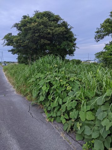 富益町土地の外観