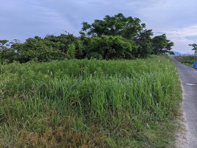 富益町土地の外観