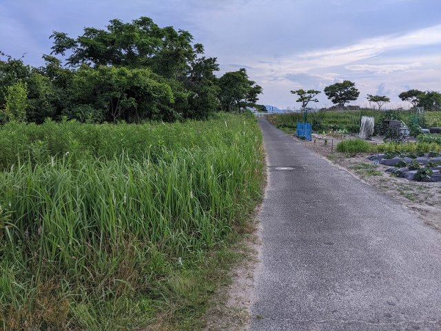富益町土地の外観