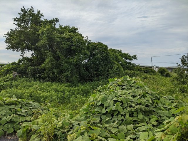 富益町土地の外観