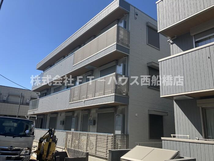 D-coral