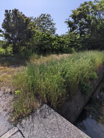 富益町土地