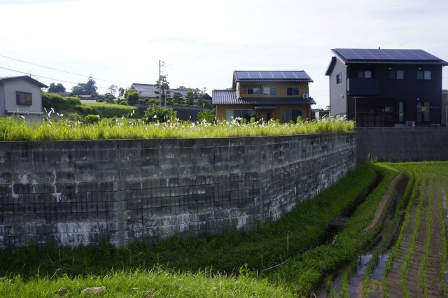 湖陵町三部　（農振除外申請要）　売土地　約226坪　建築条件なしの外観