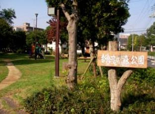 新田の森公園まで263m