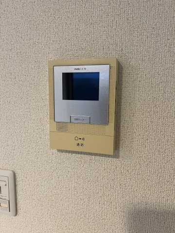 ピットーレのセキュリティ