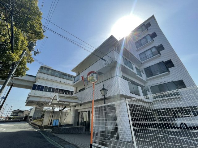 ダンディライオン住吉川