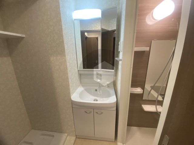 Luxe玉造南の独立洗面台