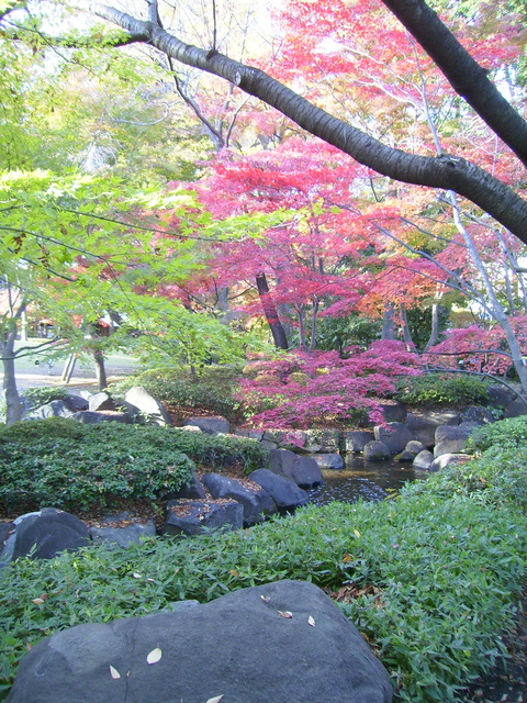 K・アネックスのその他|大田黒公園