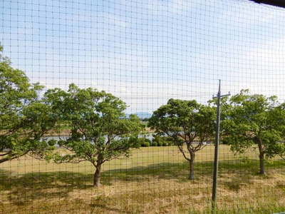 【その他】 | ビレッジハウス雲州平田2号棟 | ビレッジハウスの同一物件・同一タイプの間取りの写真です