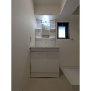 グランドール須崎の洗面所