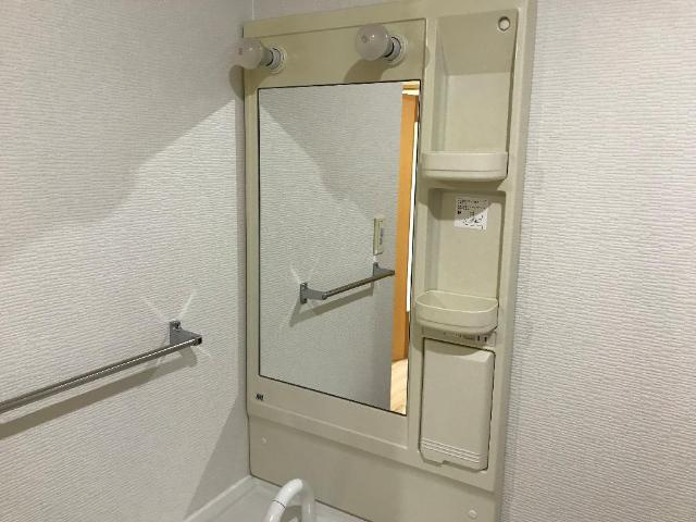 サウスビューの洗面所|洗面ミラーキャビネット
