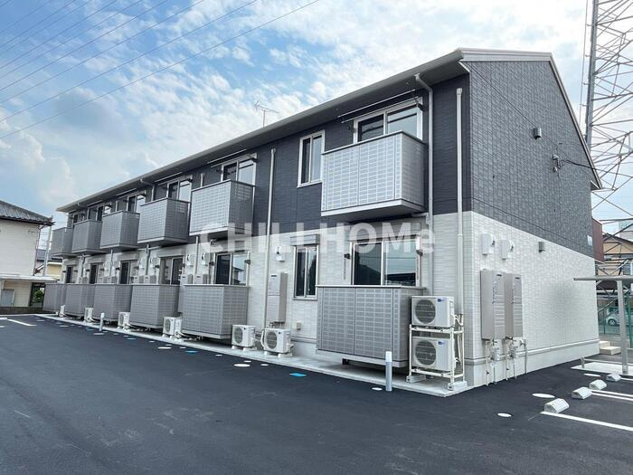 どんぐり３号