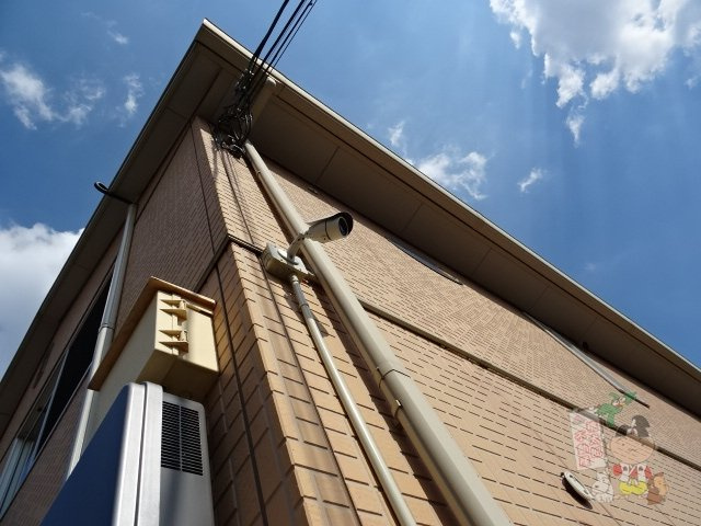 Ｆ．Ｓｕｎｎｙの外観