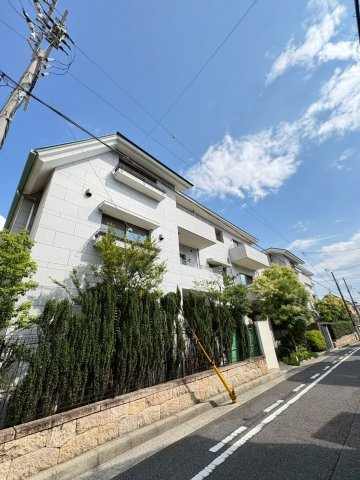 Cross　Season甲子園