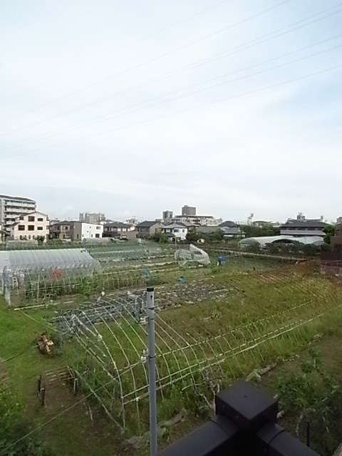 レオネクストさくら五段坂Ⅱの展望