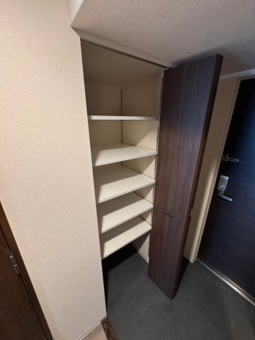 エスリードレジデンス大阪谷町ザ・マークス の収納