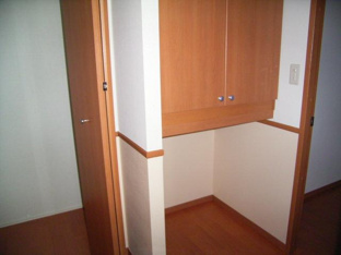 大きなものも収納できそうです