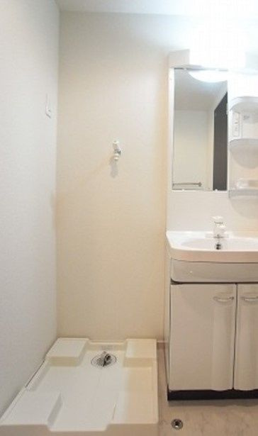 リブリ・アイレクスの洗面所