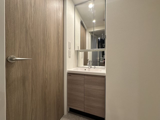 川崎市多摩区宿河原６丁目の賃貸マンションの洗面所