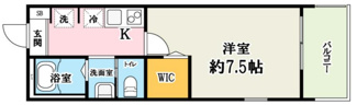 【間取り】 | セレーノ西浦和 | 間取りです。