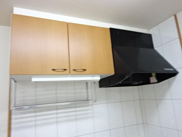 フォレスト・ヴィラの収納|キッチン吊戸棚（イメージ）