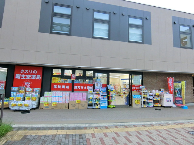 パークアベニューのその他|龍聖堂薬局　高幡不動店
