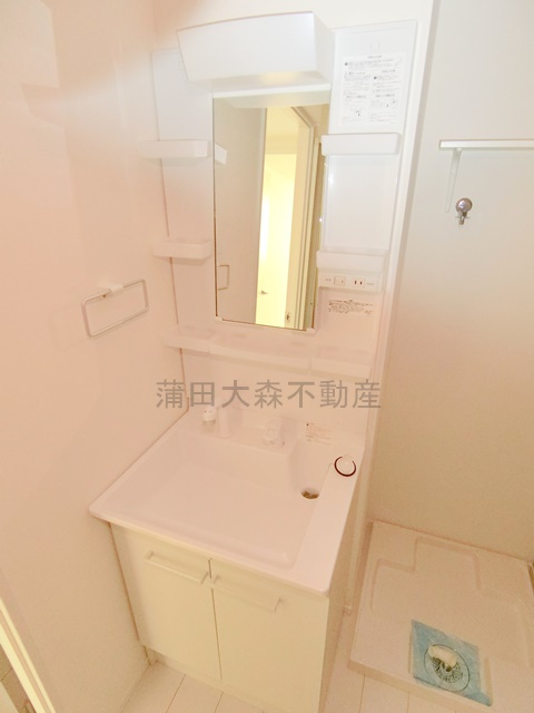 フラシア新蒲田の洗面所